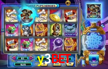 Segurança e performance na plataforma y3bet